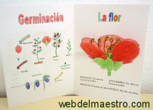 Trabajo a doble cuartilla