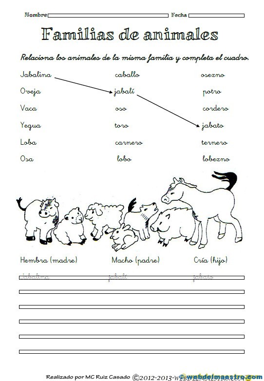 Lectura comprensiva para 2º: Familias de animales.