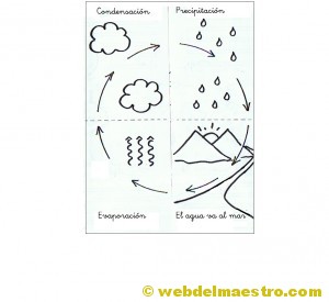 Ciclo del agua para niños Ciclo del agua para niños