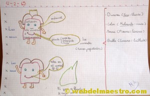 rocas y minerales rocas y minerales