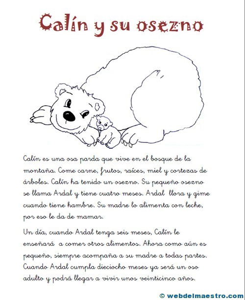 Comprensión lectora