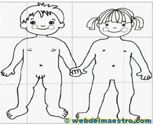 Partes-del-cuerpo-para-niños