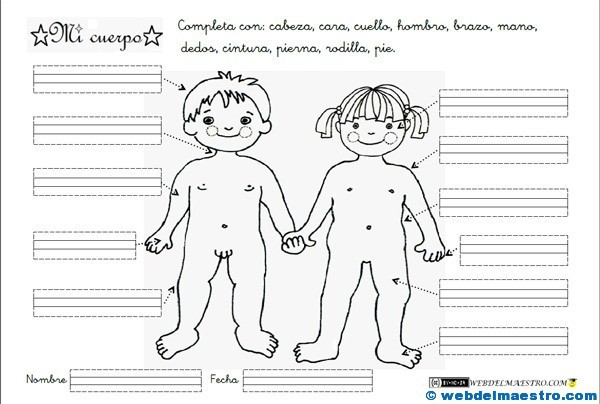 Partes del cuerpo para niños