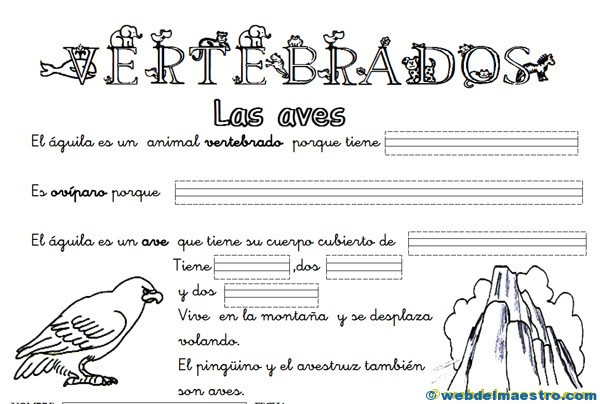 Animales vertebrados