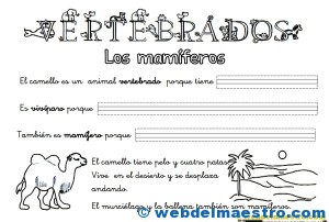 Animales-vertebrados Animales vertebrados