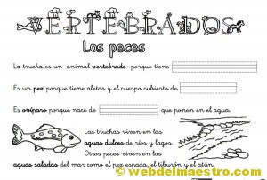 Animales-vertebrados Animales vertebrados