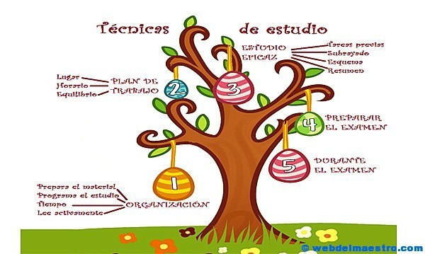 Técnicas-estudio-primaria