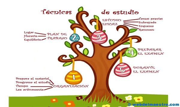 Técnicas: estudio primaria