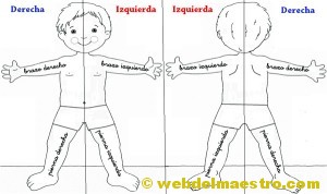 Lateralidad: actividades