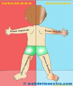 Lateralidad de espaldas: color