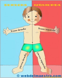 Lateralidad de frente: color