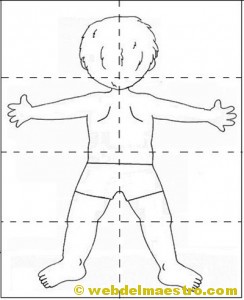 lateralidad: puzzle-espalda