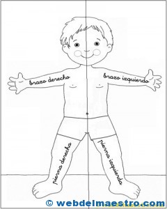 lateralidad: recortar