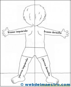 Lateralidad: recortar-espalda