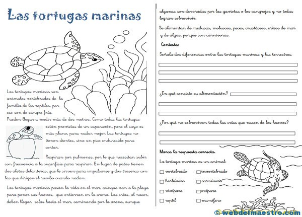 Lecturas comprensivas