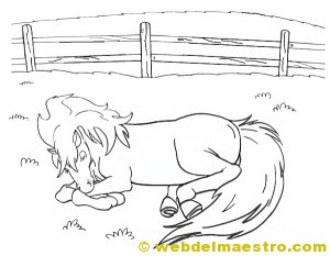 Caballos para colorear-durmiendo