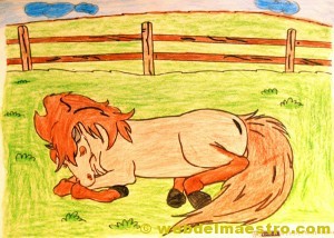caballos para colorear: terminacion del trabajo