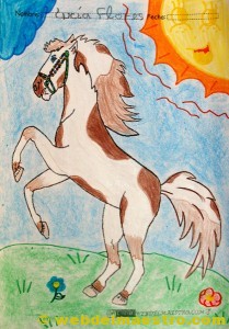 caballos para colorear: terminacion del trabajo