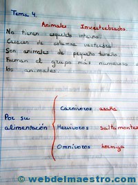 Animales invertebrados cuaderno alumnos-1