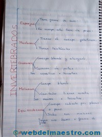 Animales invertebrados cuaderno de alumnos-2