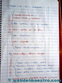 Animales invertebrados cuaderno alunmos-3