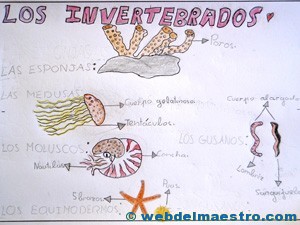 Animales invertebrados trabajos de alumnos 