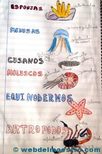 Animales invertebrados trabajos de alumnos