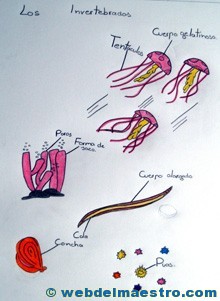 Animales invertebrados trabajos de alumnos