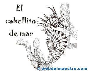 Curiosidades de animales