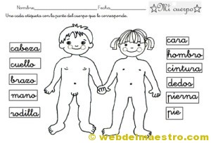 Esquema corporal-2