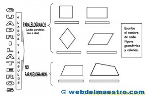 Figuras geométricas planas-cuadriláteros-2