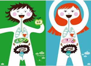 El cuerpo humano para niños