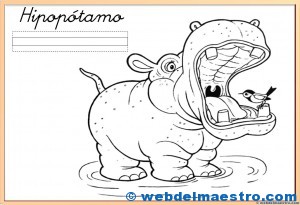 Fichas de animales-1