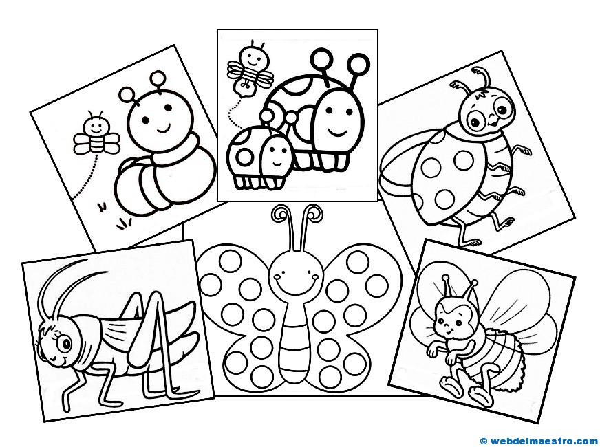 Dibujos de animales (Insectos)