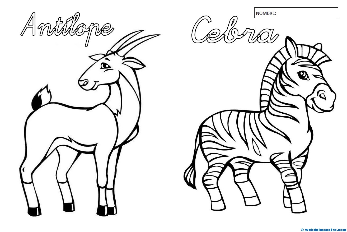 Animales para colorear (II)
