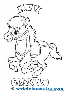 SONIDOS DE ANIMALES-3