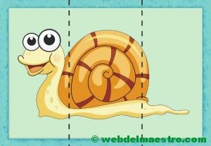 puzzle de caracol