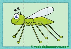 puzzle de saltamontes