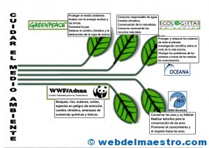 Cuidar el medioambiente
