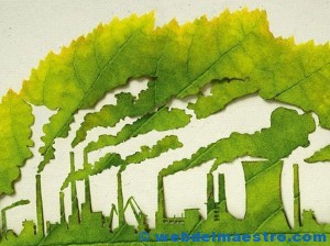 La contaminación del Medio Ambiente