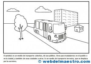 Medios de transporte-autobús