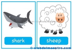 Animales en inglés-1