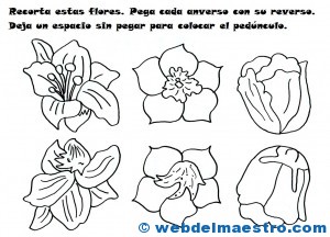 Flores de papel-1-