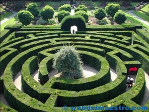 Laberinto-jardín