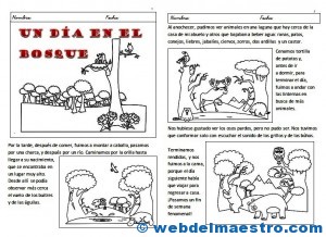 Lecturas comprensivas-tercero primaria