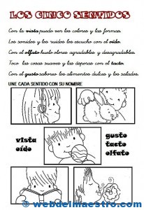 Los sentidos-primaria
