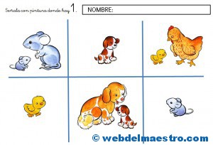 El número 1-actividades