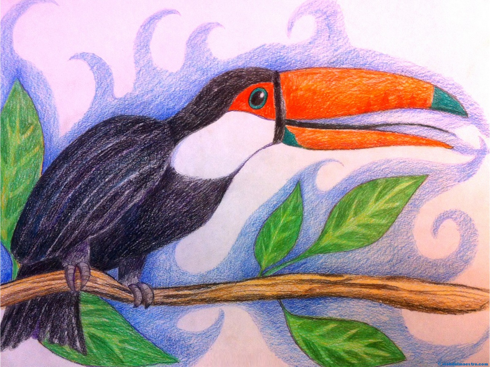 Cómo dibujar un tucán