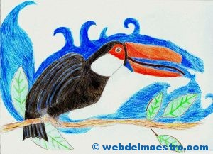 dibujo-tucan-de-un-alumno-2