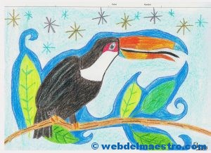 dibujo-tucan-de-un-alumno-3